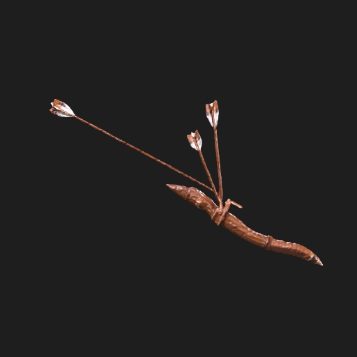 Bow Arrows