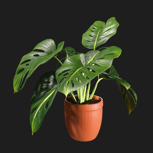 Potted Indoor Plant