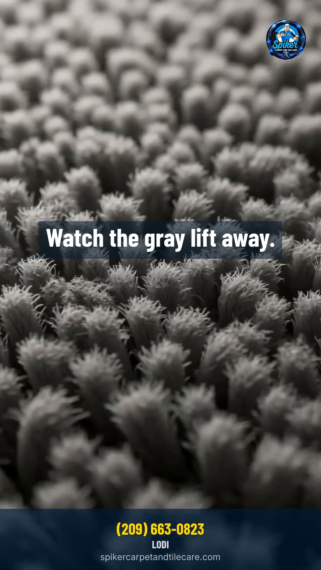 Why it grays in the walkways first.

The walkways get the most oil from feet and the most 