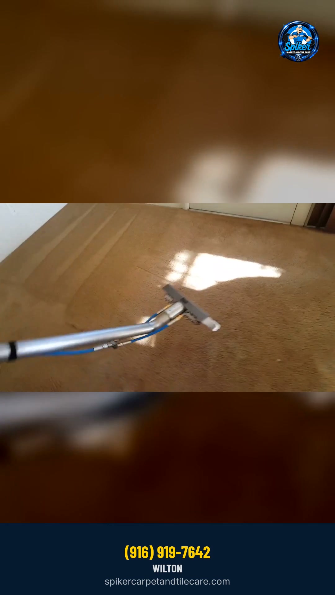 Carpet cleaning with the Prochem Apex and the Dev Pro wand - real work from our own crew, 