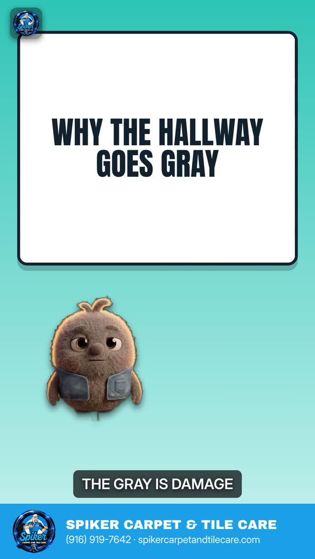 That gray path down your hallway isn't dirt. It's oil holding sand against the fiber, and 