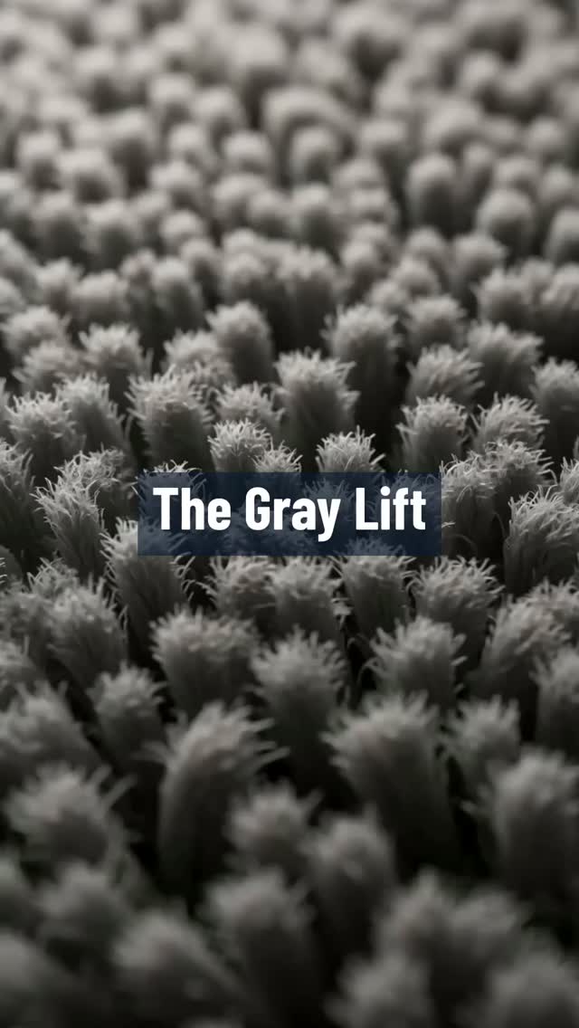 Why it grays in the walkways first.

The walkways get the most oil from feet and the most 