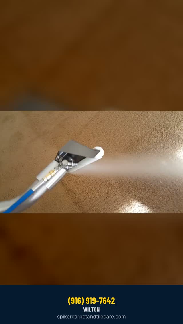 Carpet cleaning with the Prochem Apex and the Dev Pro wand - real work from our own crew, 
