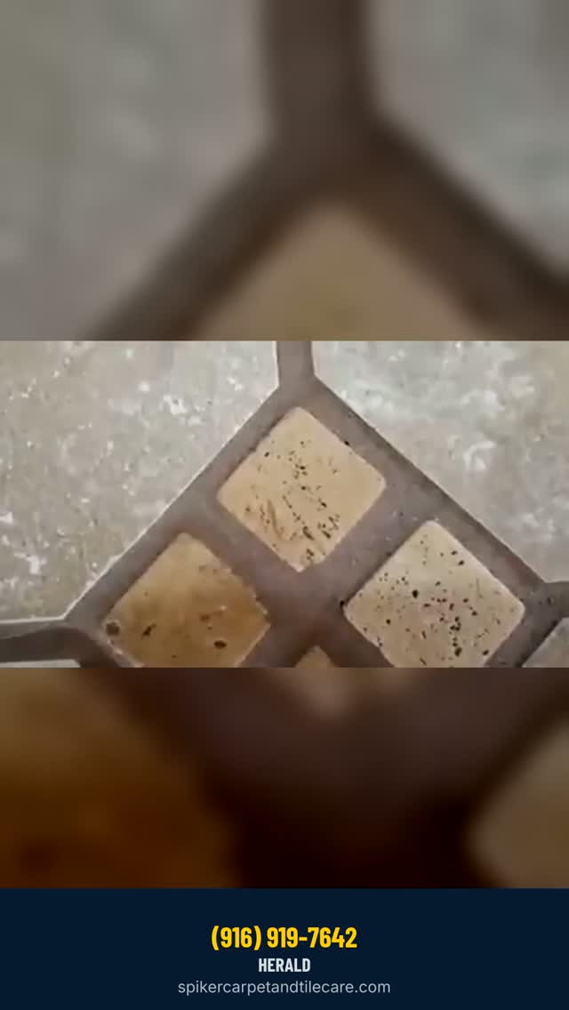 Tile and grout cleaning - real work from our own crew, no stock footage.

Hot water extrac
