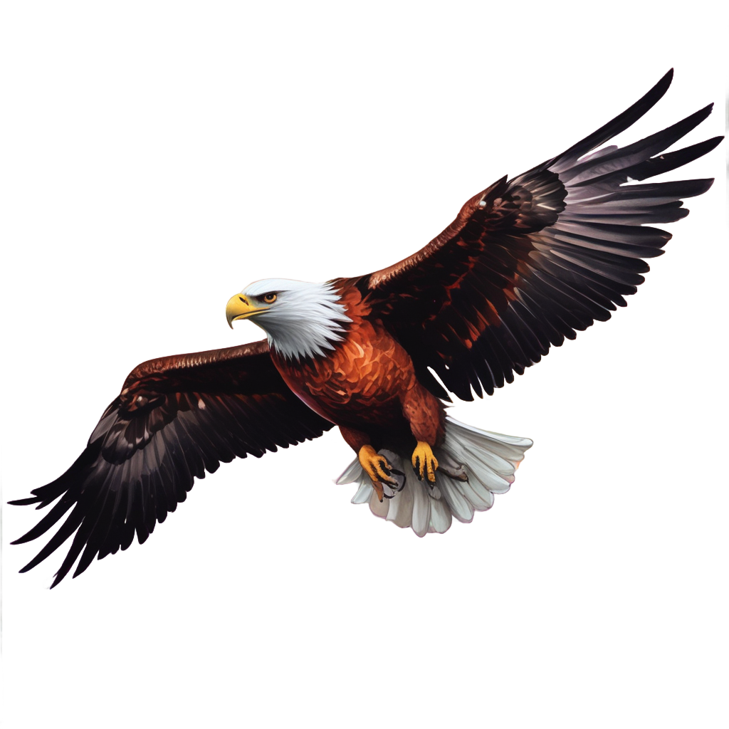 Eagle in Flight Sunset — birds stickers