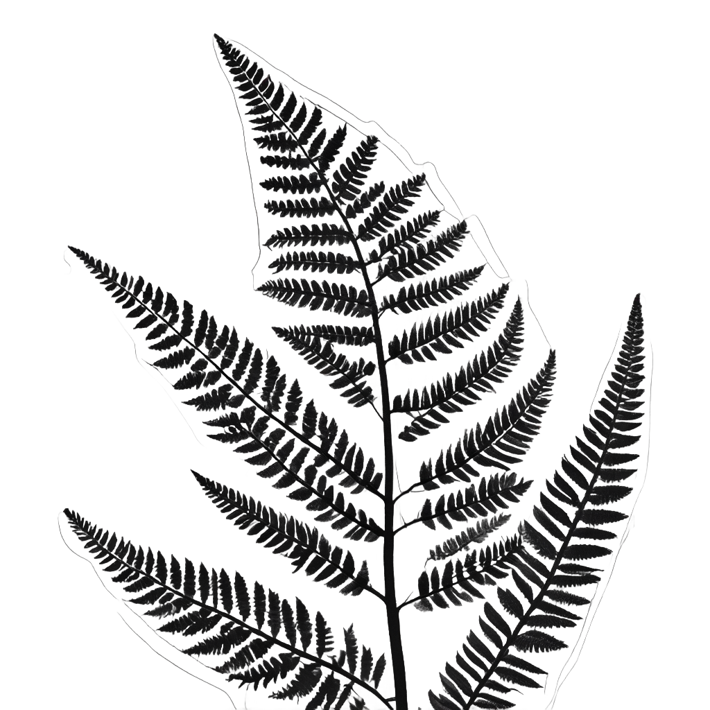 Fern Silhouette — pressed flowers stickers
