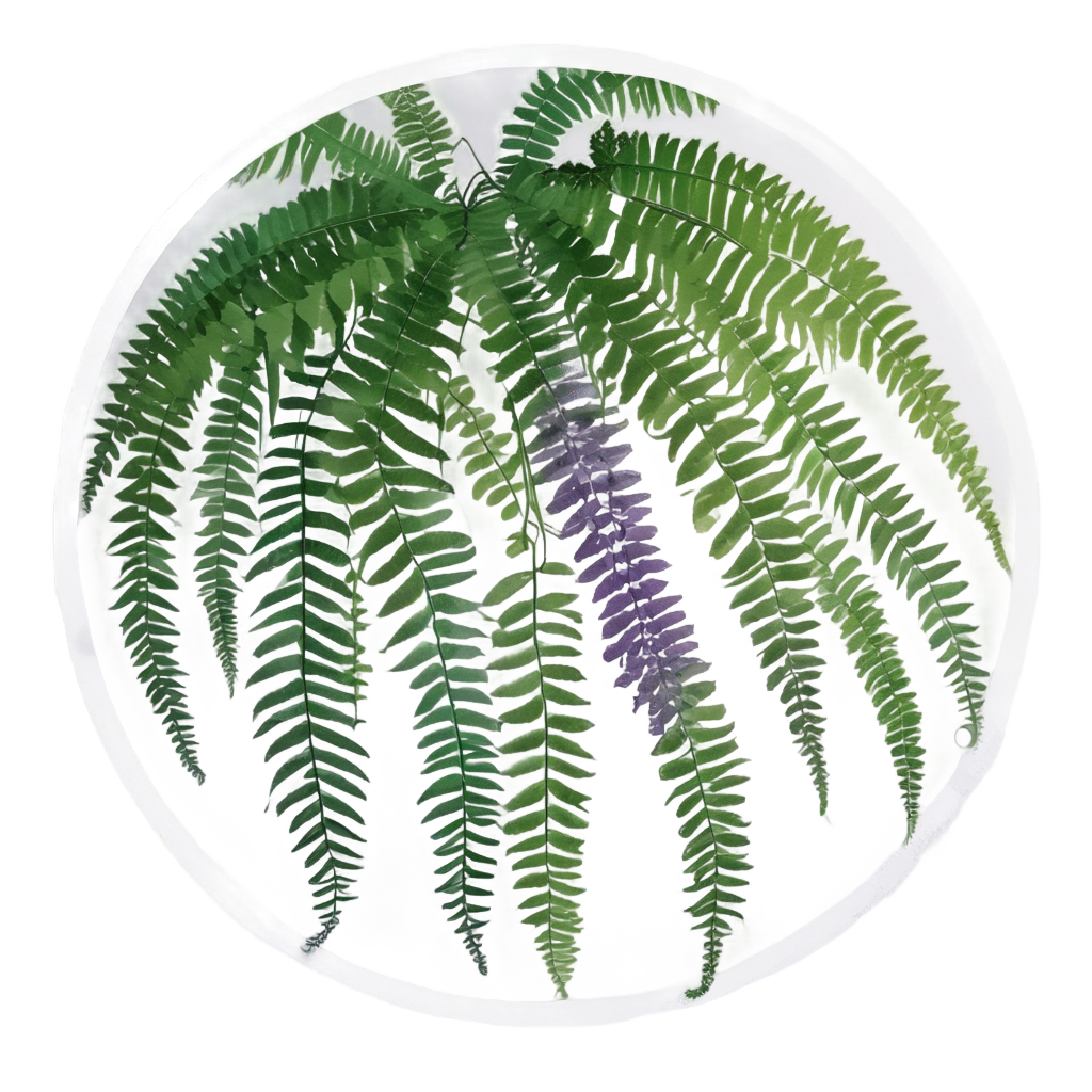 Floating Fern Fantasy — houseplants stickers