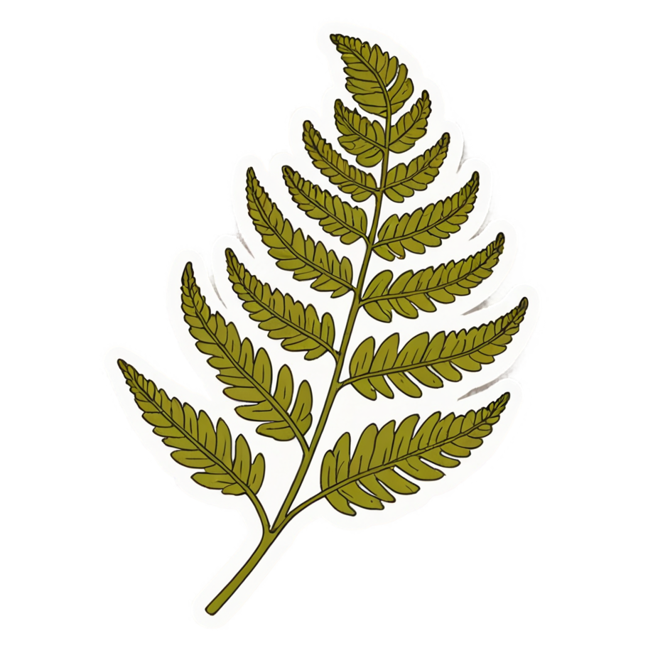 Curling Fern (retro) — plant stickers