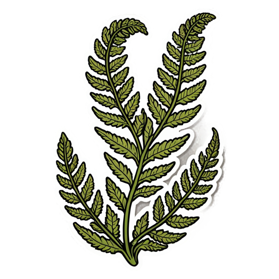 Curling Fern (tattoo) — plant stickers