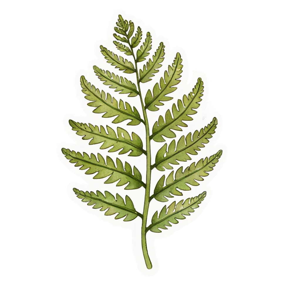 Curling Fern (watercolor) — plant stickers