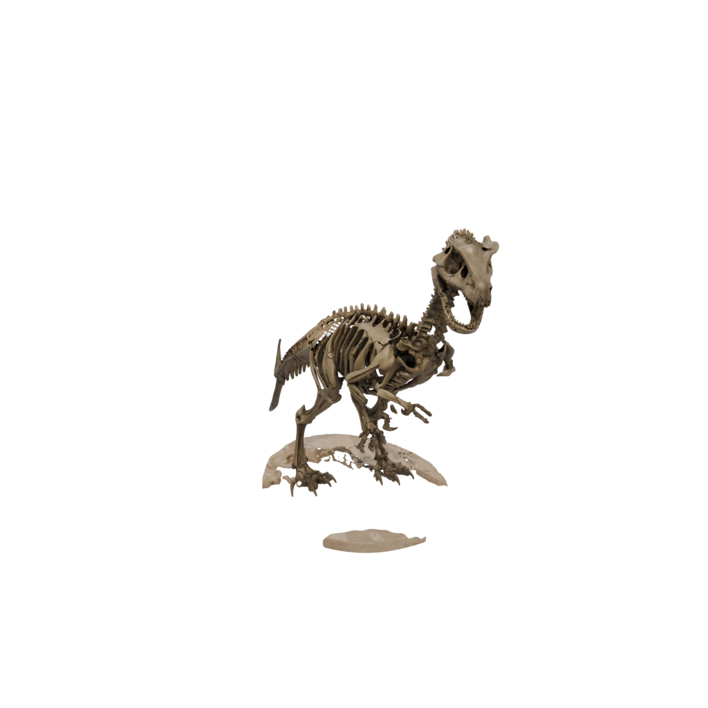 Jumbo Skeleton Baryonyx