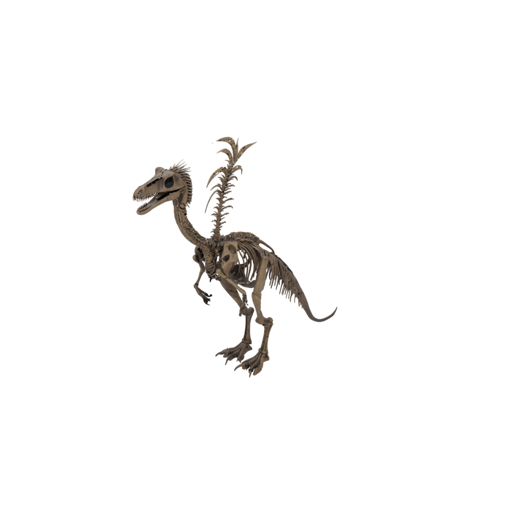 Jumbo Skeleton Deinonychus