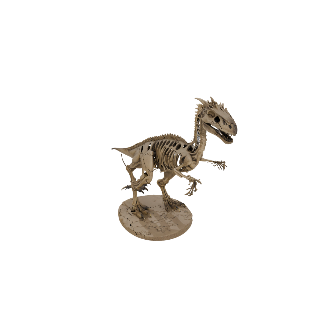 Jumbo Skeleton Pachycephalosaurus