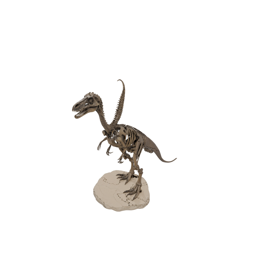 Jumbo Skeleton Velociraptor
