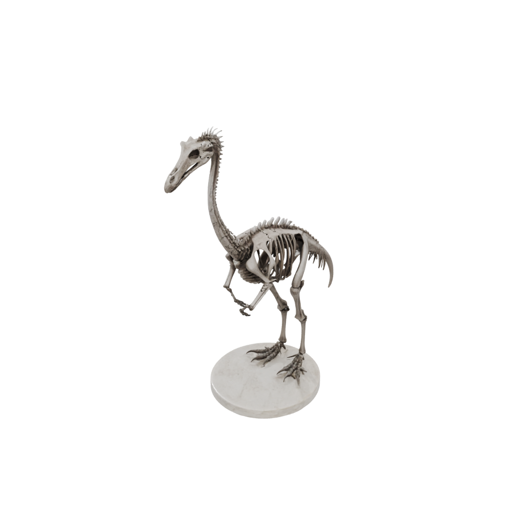 Marble Skeleton Gallimimus — dinosaurs 3D print model, STL