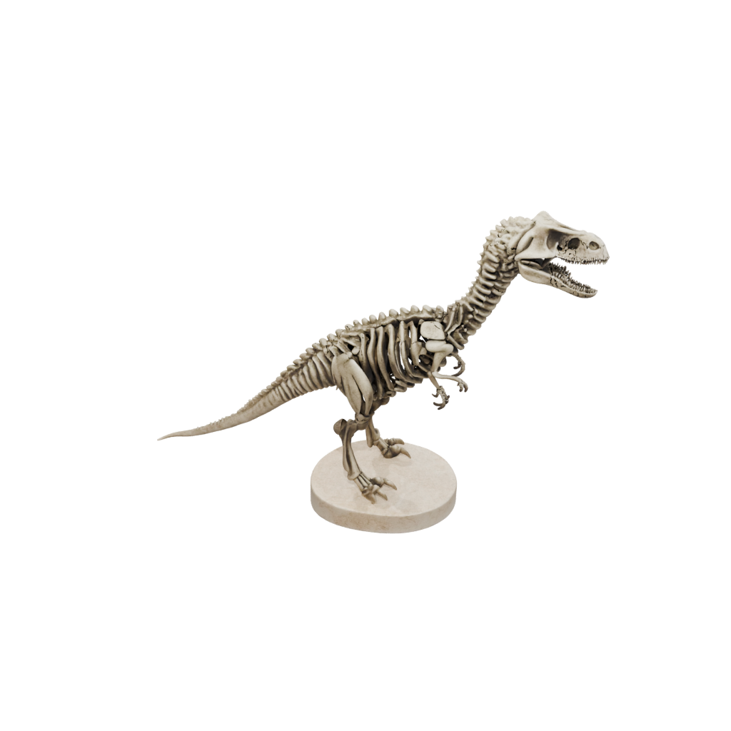Marble Skeleton Mosasaurus