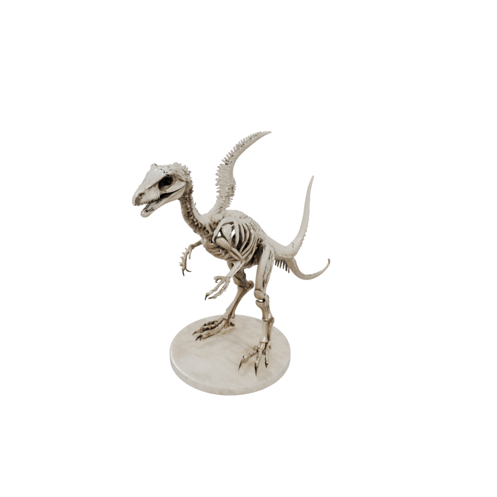 Marble Skeleton Velociraptor — dinosaurs 3D print model, STL
