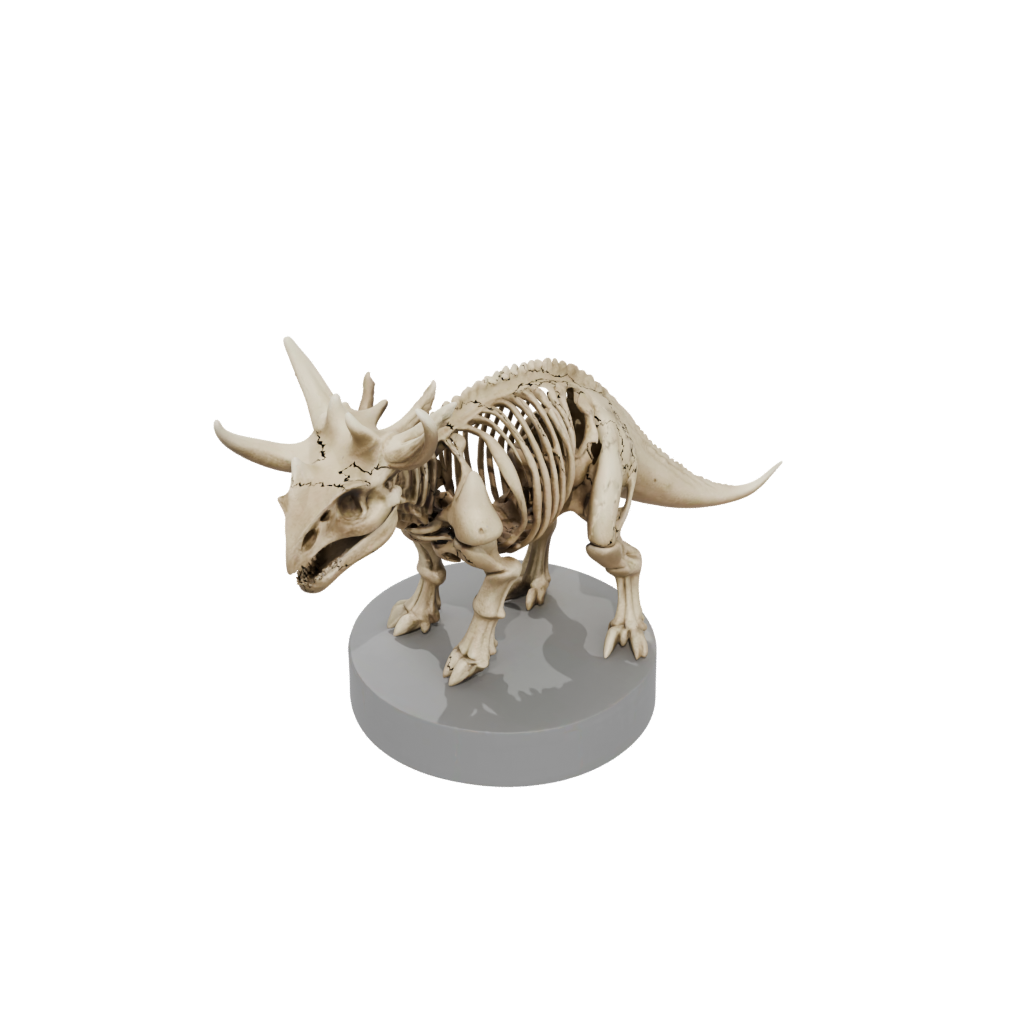 Mini Skeleton Triceratops
