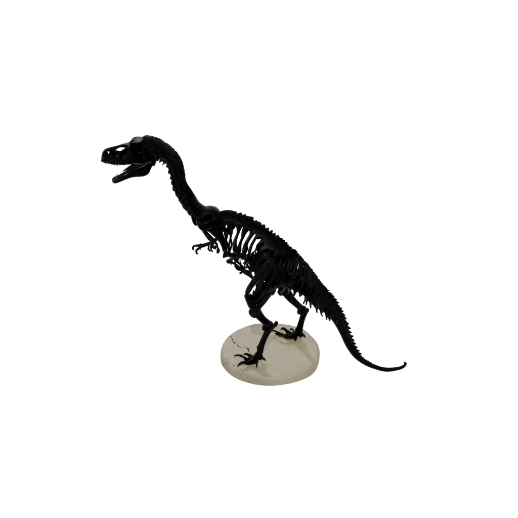 Obsidian Skeleton Velociraptor