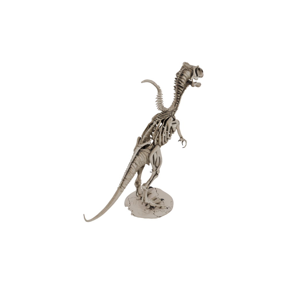 Pastel Skeleton Velociraptor — dinosaurs 3D print model, STL