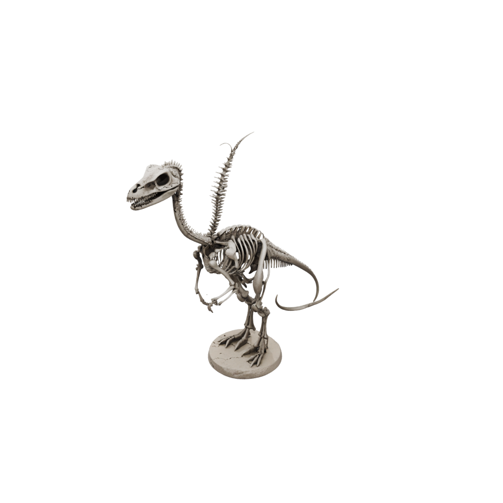 Skeleton Compsognathus