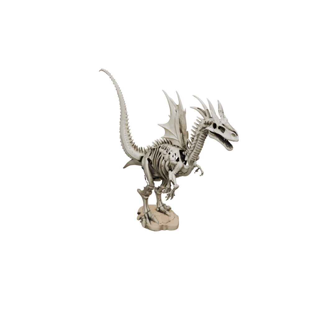 Skeleton Kentrosaurus