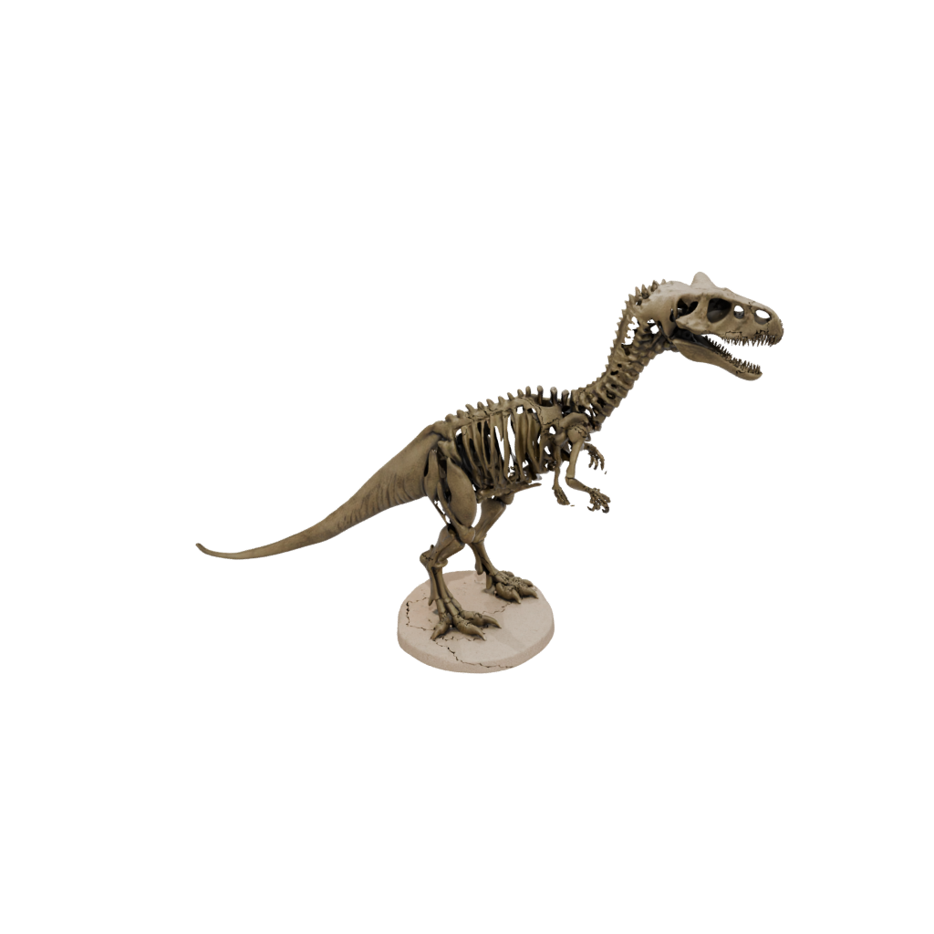 Skeleton Megalosaurus — dinosaurs 3D print model, STL