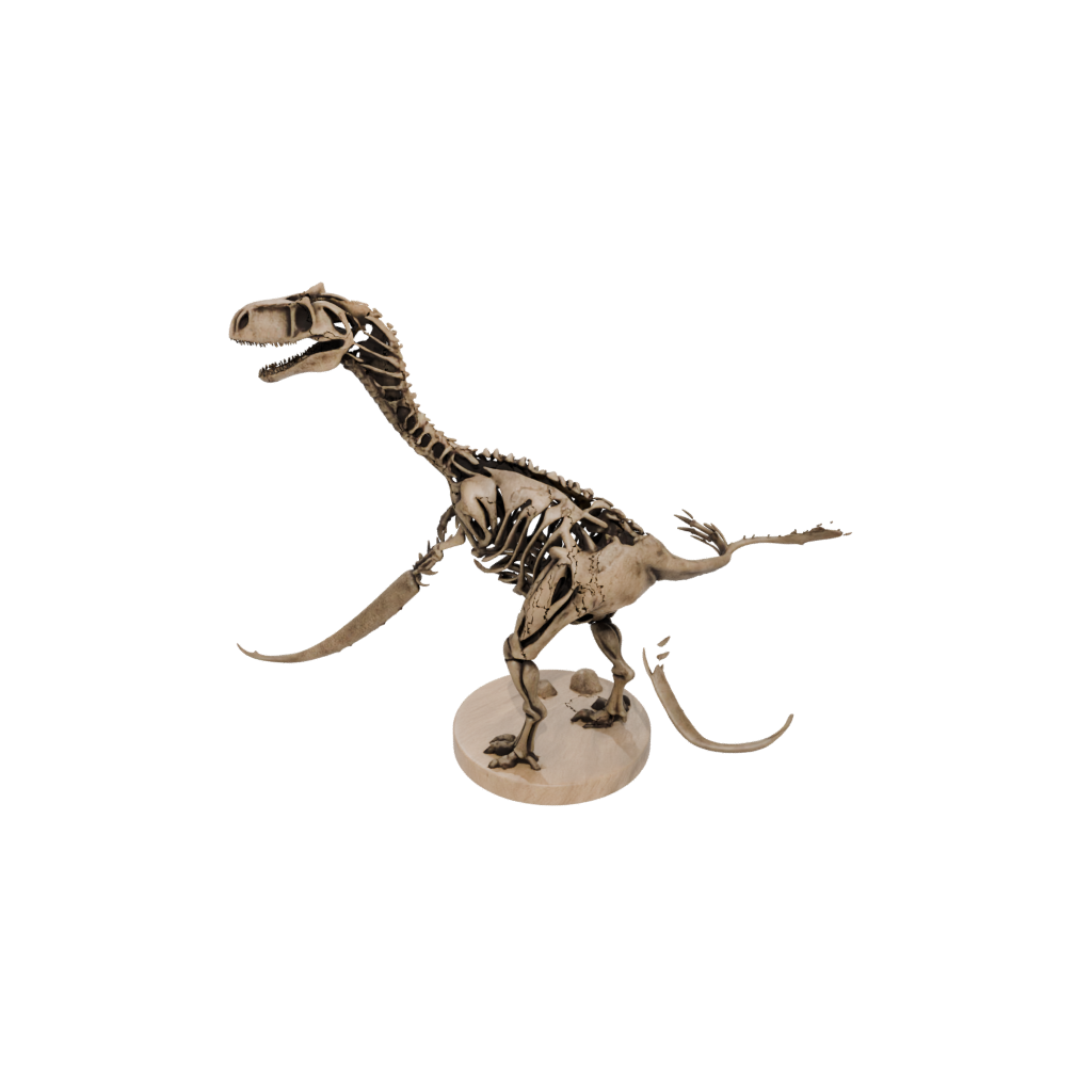 Woodgrain Skeleton Megalosaurus