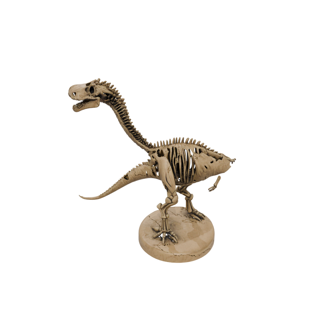 Woodgrain Skeleton Spinosaurus