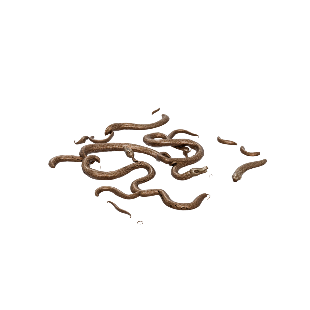 Bronze Pocket Articulated Snake Long