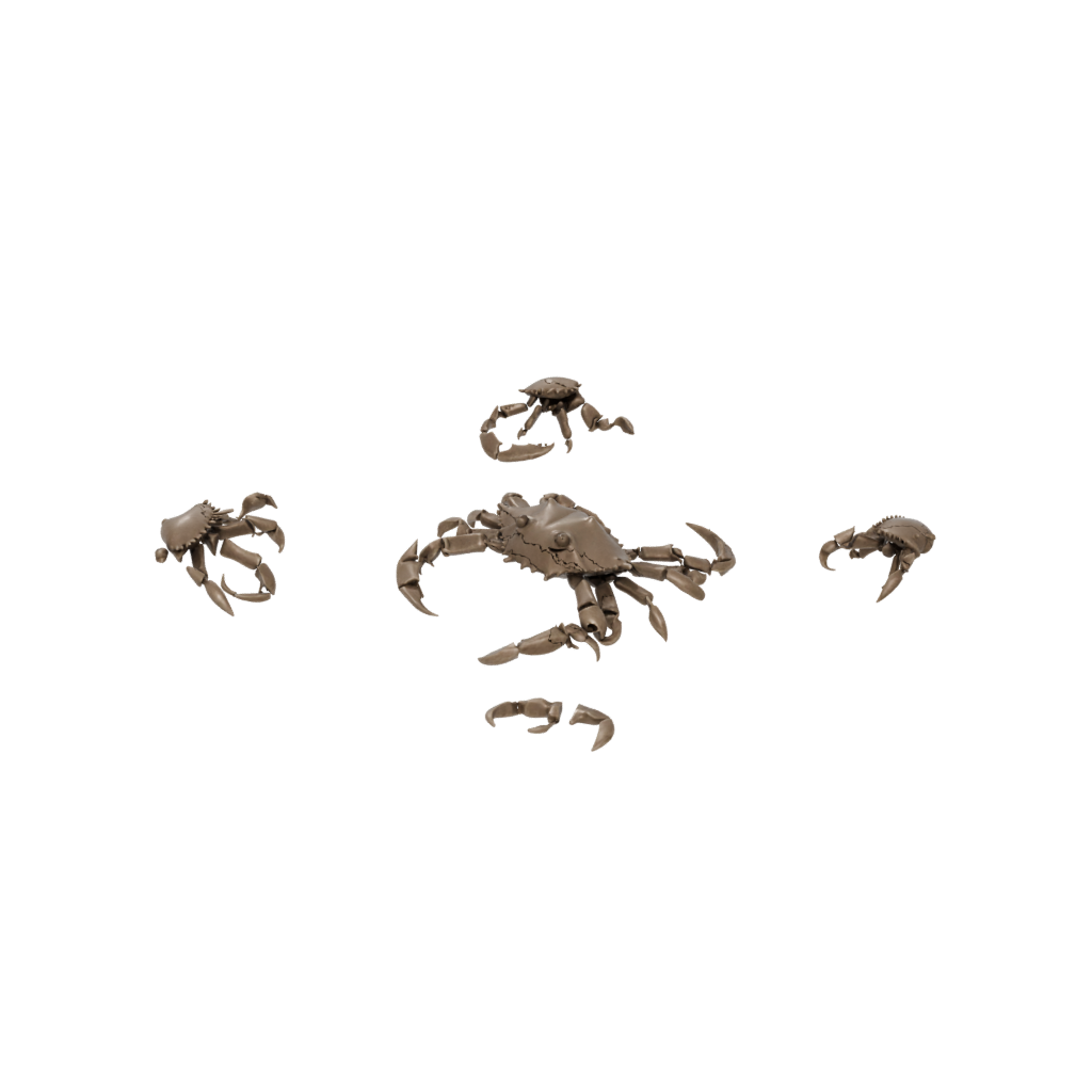 Bronze Big Articulated Crab