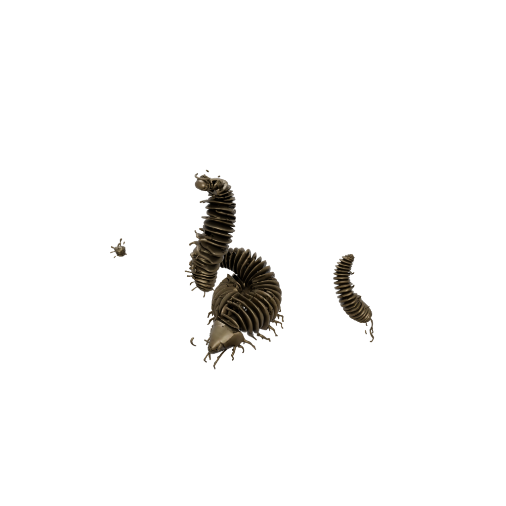 Bronze Big Articulated Millipede