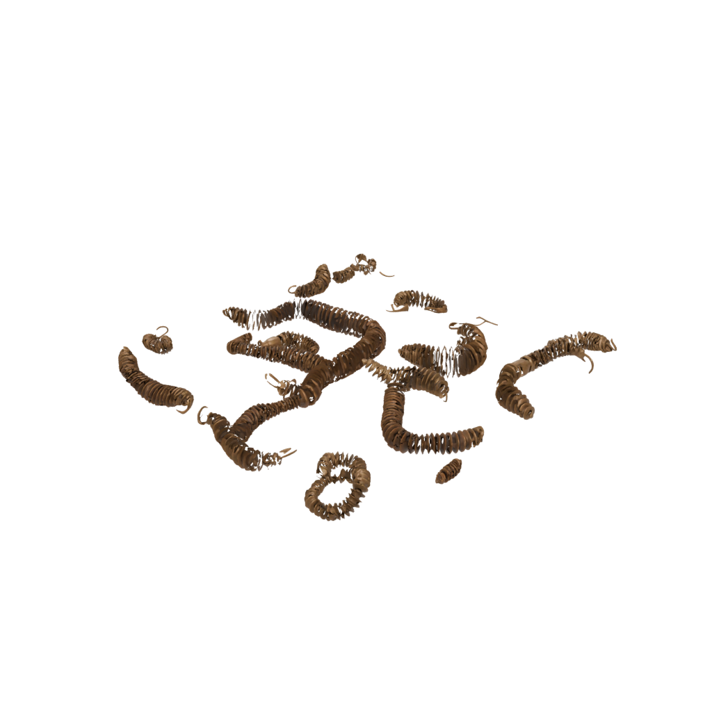 Bronze Soft Articulated Millipede