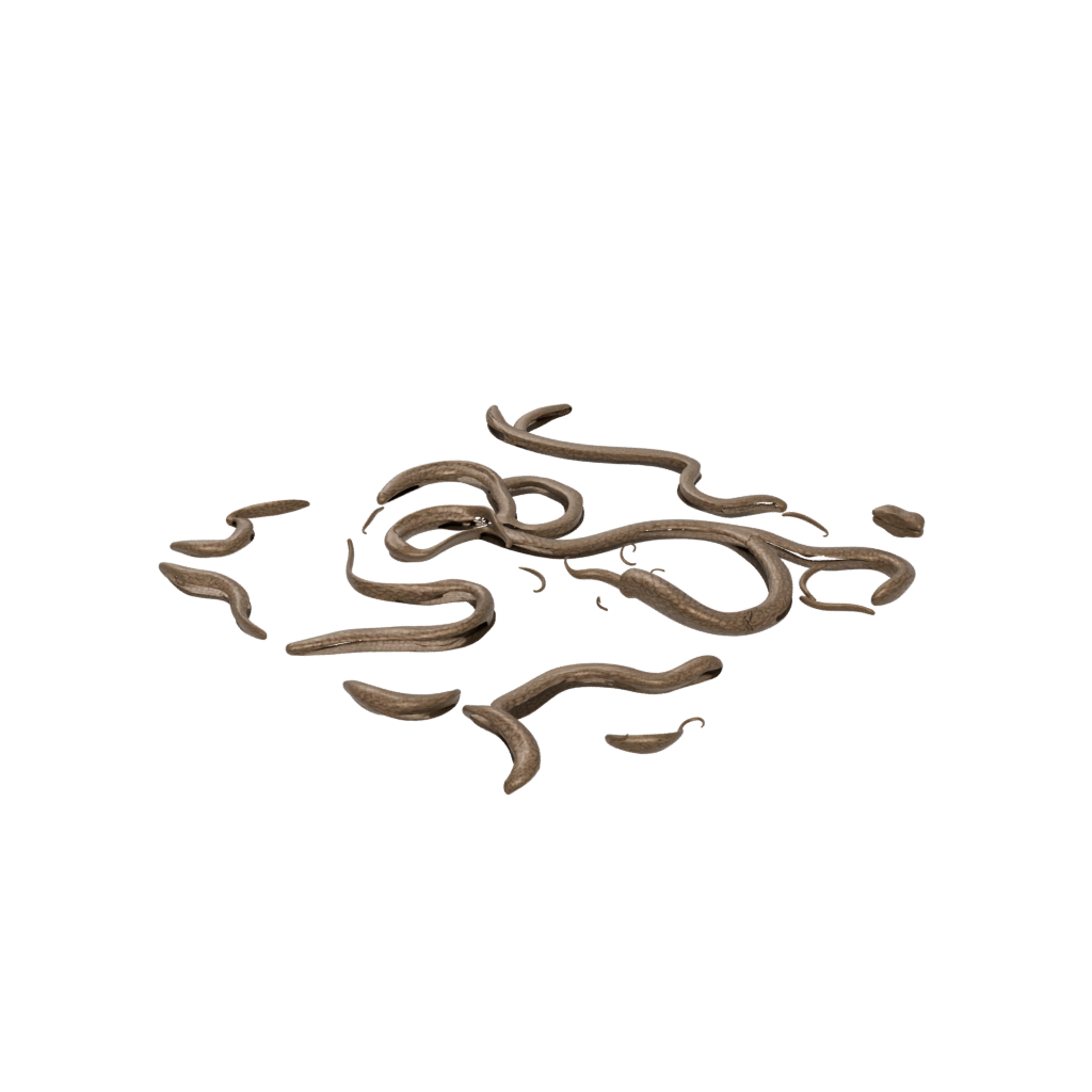 Bronze Soft Articulated Snake Long