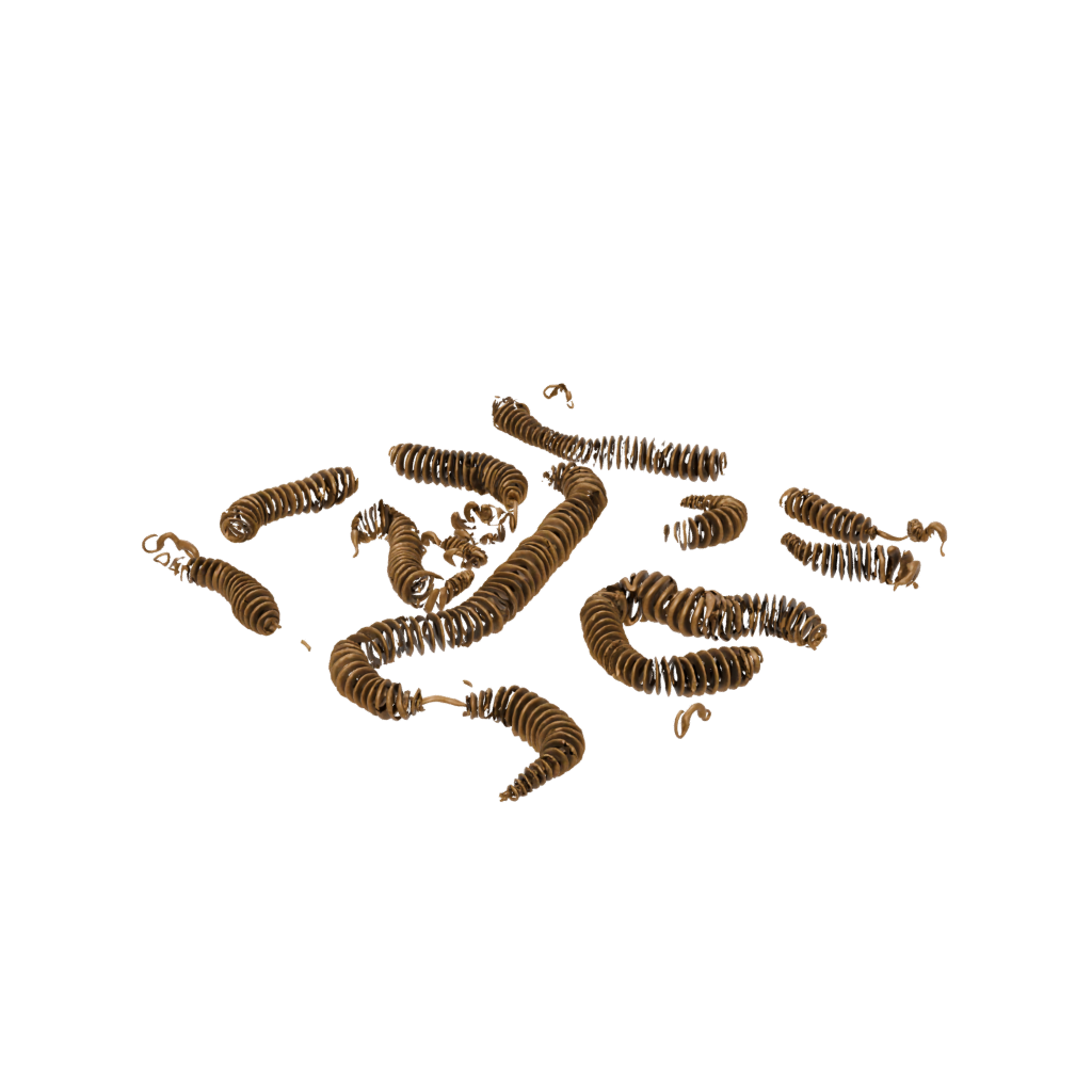Bronze Articulated Millipede