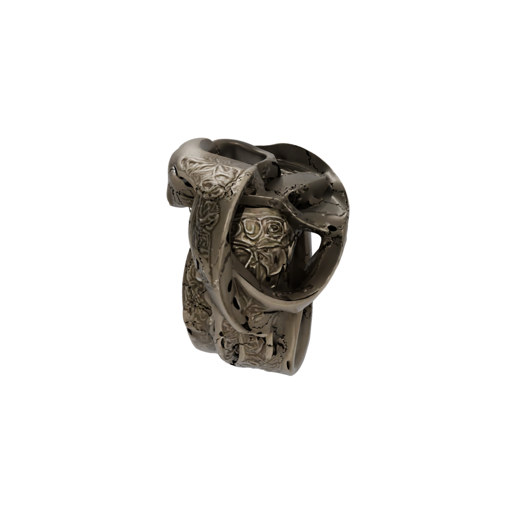 Bronze Spinning Coin Ring