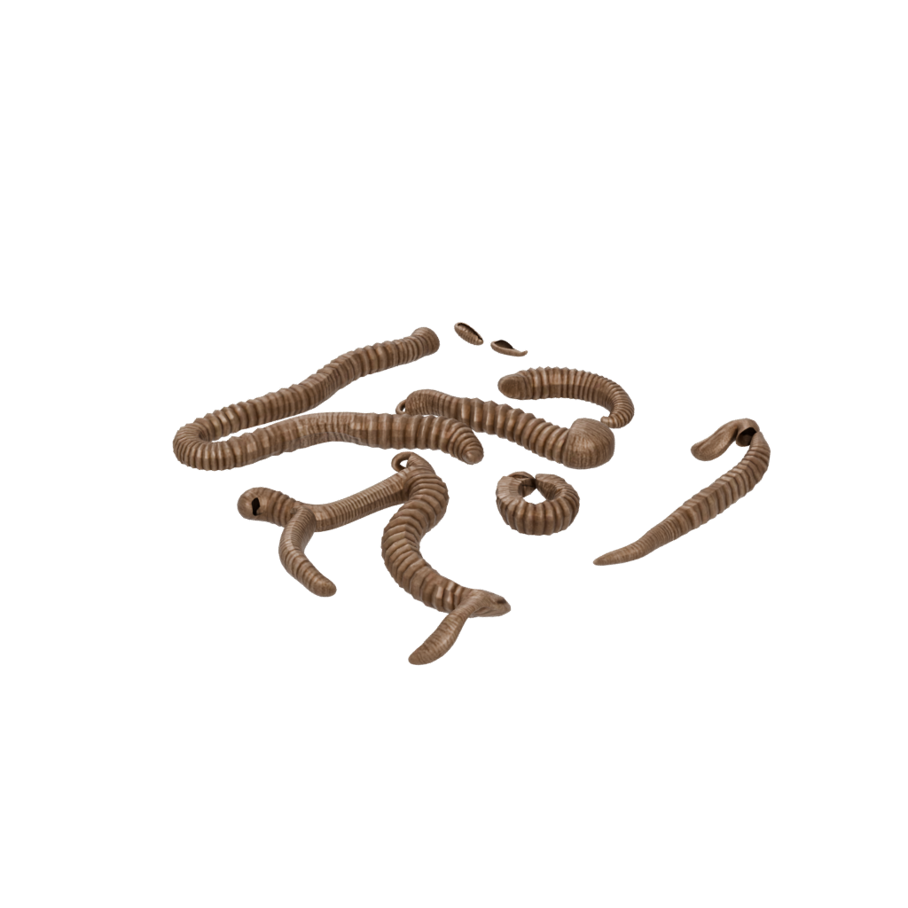 Bronze Textured Articulated Worm