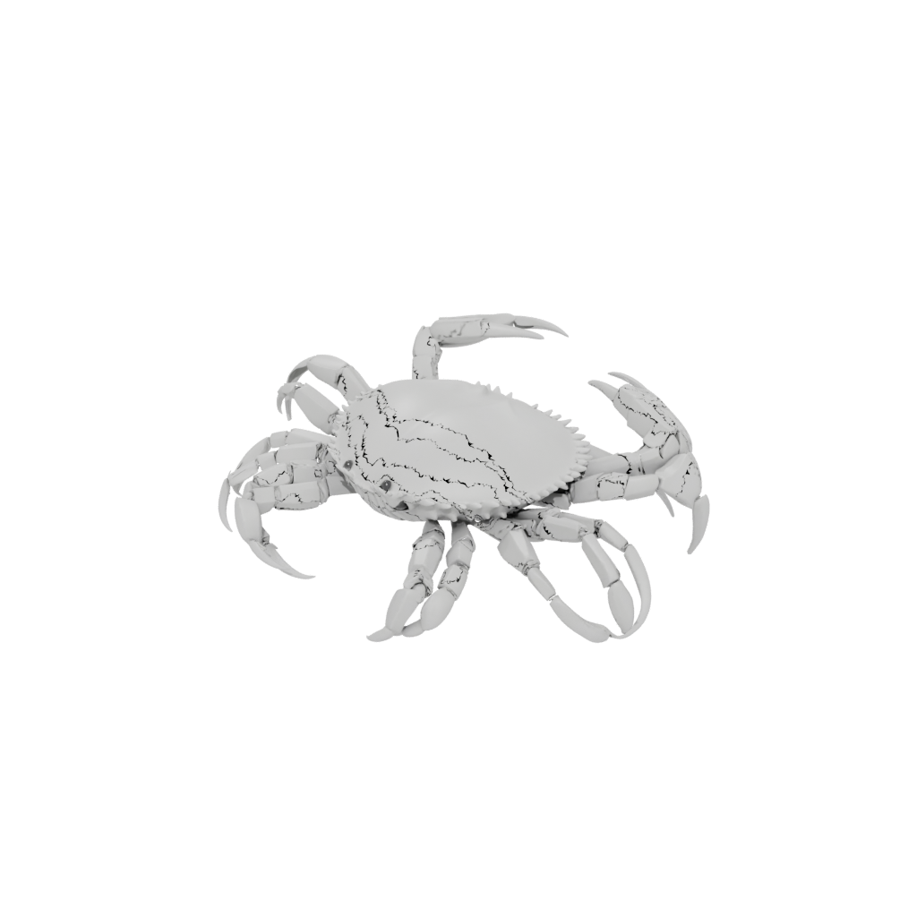 Pocket Articulated Crab