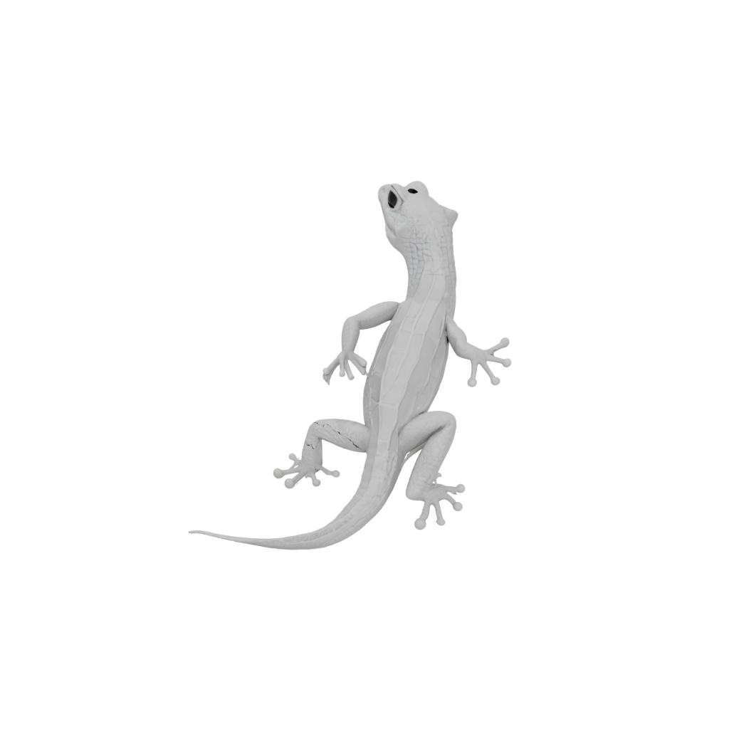 Pocket Articulated Gecko