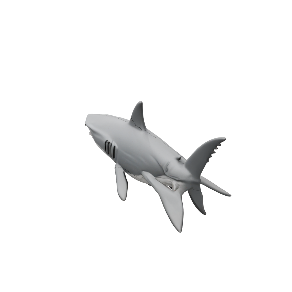 Pocket Articulated Shark
