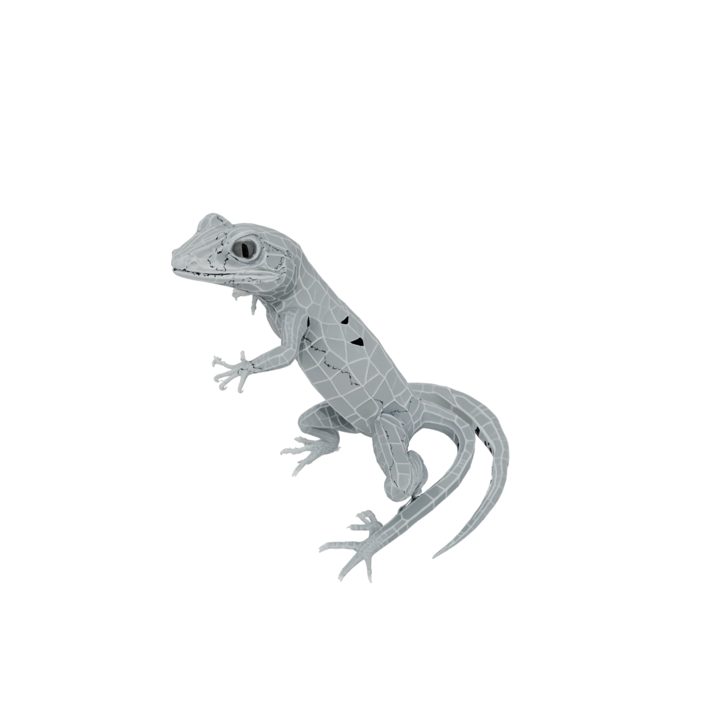 Crystal Big Articulated Gecko