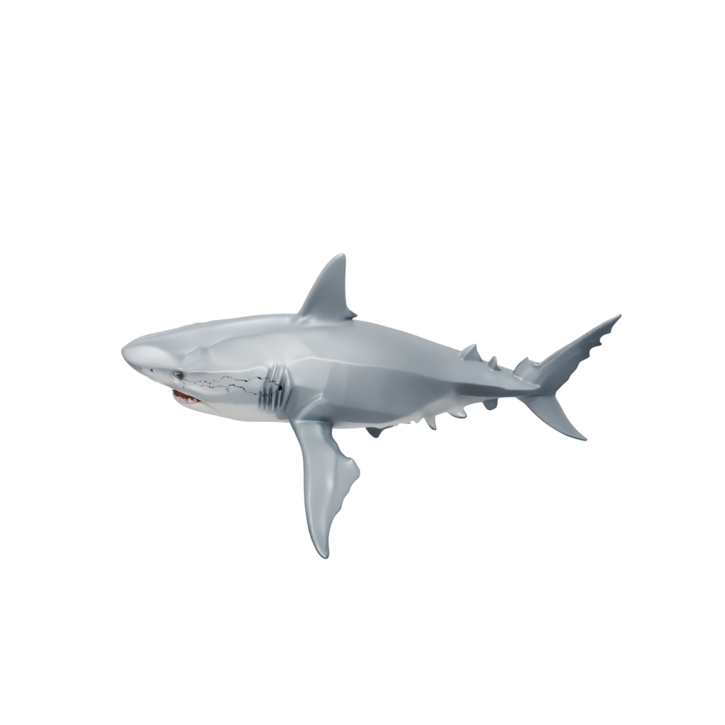 Crystal Articulated Shark