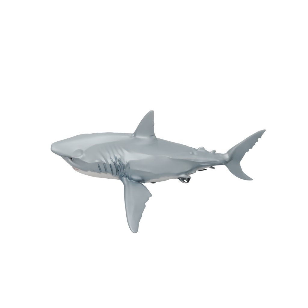 Crystal Textured Articulated Shark — fidgets 3D print model, STL