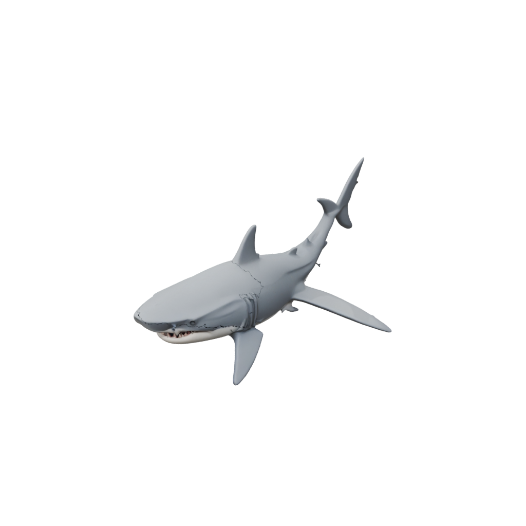 Galaxy Pocket Articulated Shark — fidgets 3D print model, STL