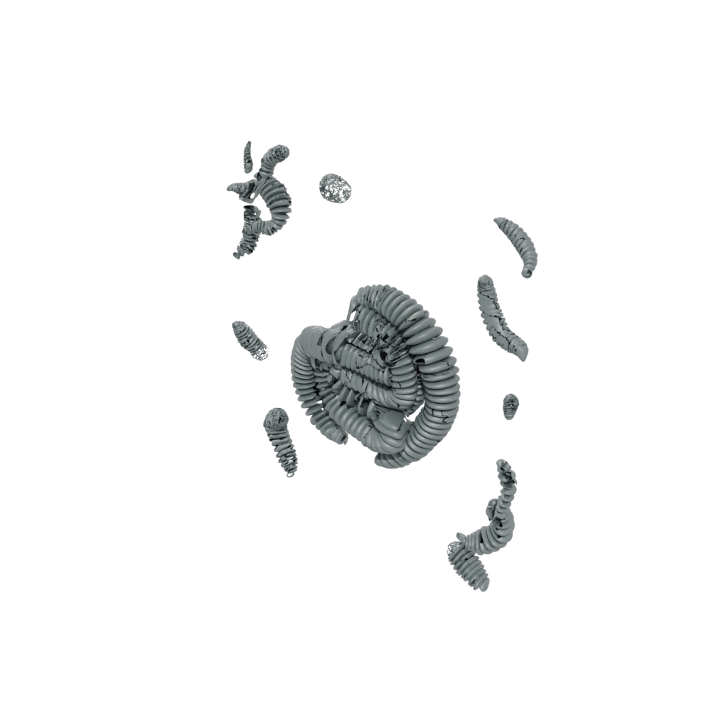 Galaxy Big Articulated Millipede