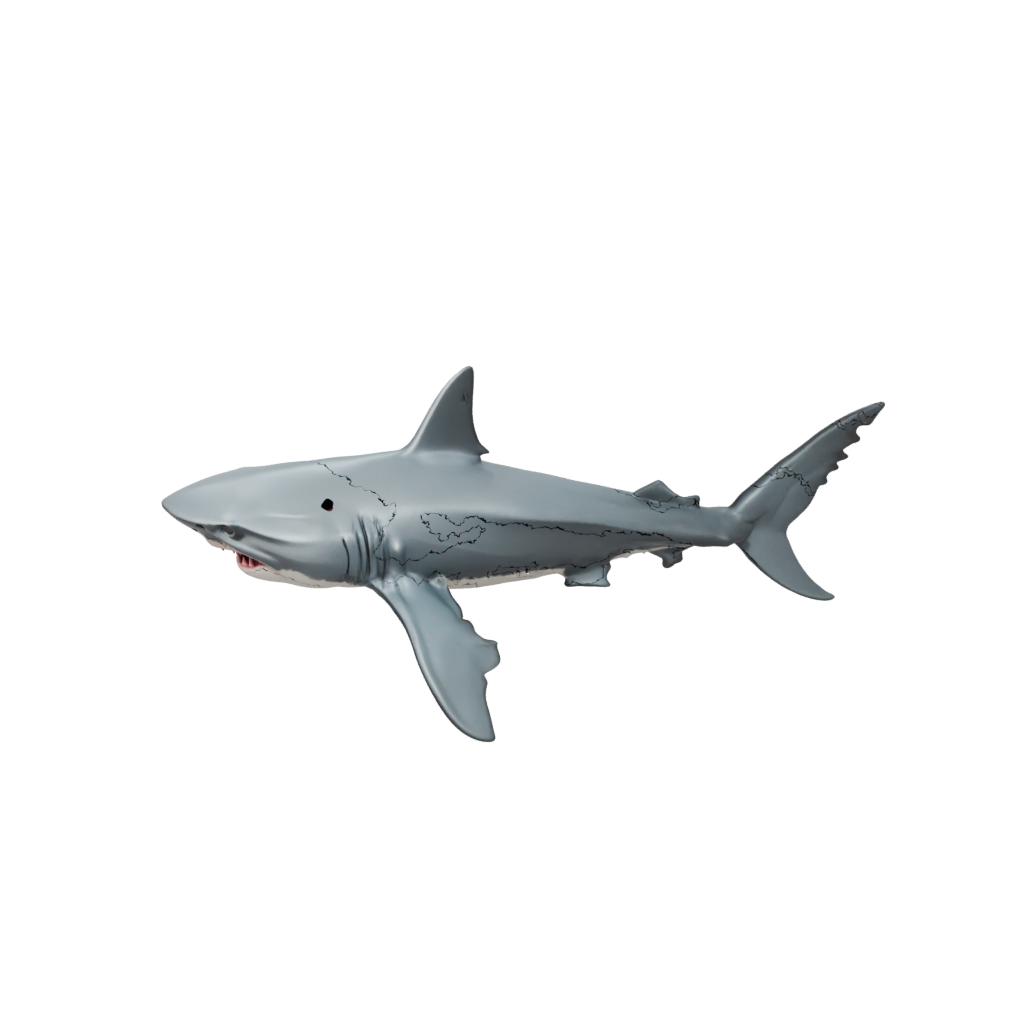 Galaxy Big Articulated Shark