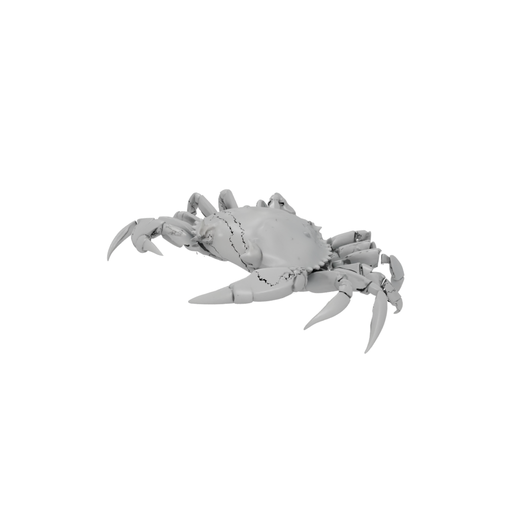 Galaxy Soft Articulated Crab