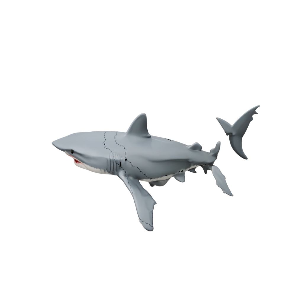 Galaxy Soft Articulated Shark