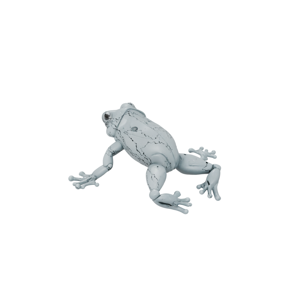 Galaxy Articulated Frog — fidgets 3D print model, STL