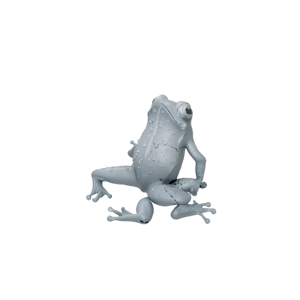 Galaxy Textured Articulated Frog